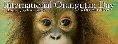 World Orangutan Day - International Orangutan Day